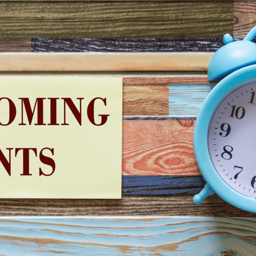 🏃♀️ Vibes, Veggies & Victory Laps: Your Active Week in Haddonfield Starts Now 🌟