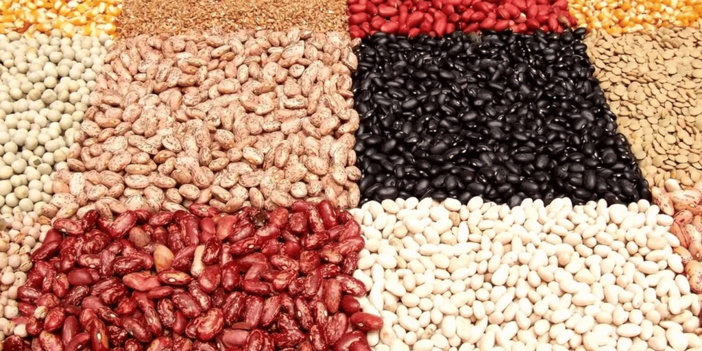 Cooking Beans and Legumes
