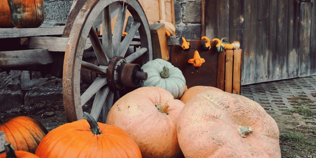 Fall Fest