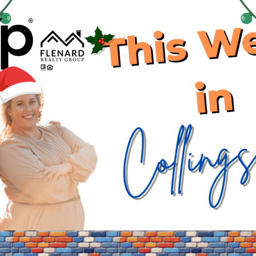 A Cozy Christmas Week in Collingswood NJ You Will Love