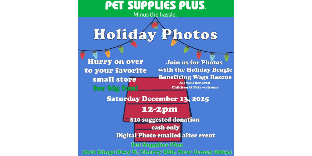 Photos with Santa Snoppy