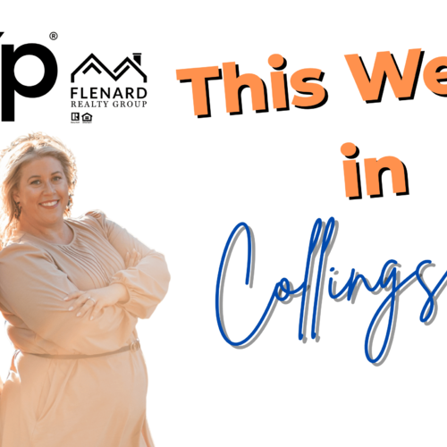 Cozy Creative Nights and Weekend Brunch Vibes in Collingswood This Week