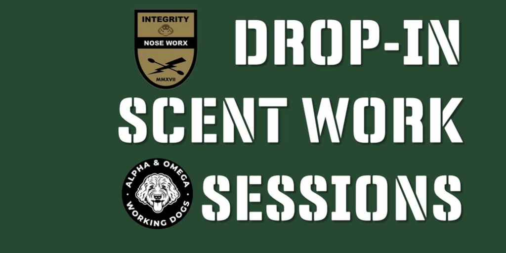 Thursday Night Drop in Advanced Learning (DIAL) Sessions