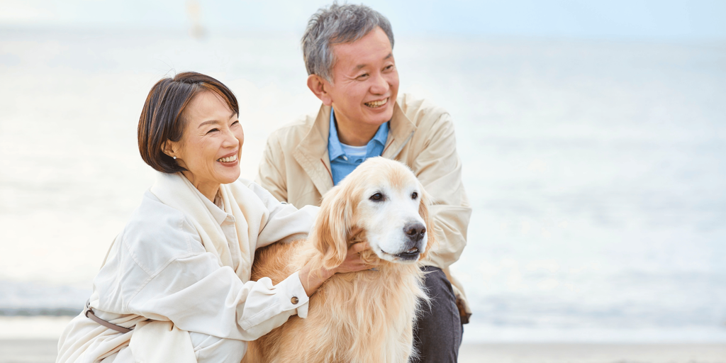 Begin With the Homeowner’s Wishes