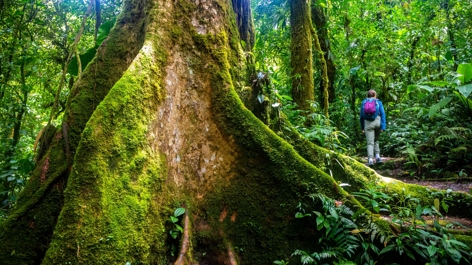 Reserva Conchal - costaricarealestateamigo.com