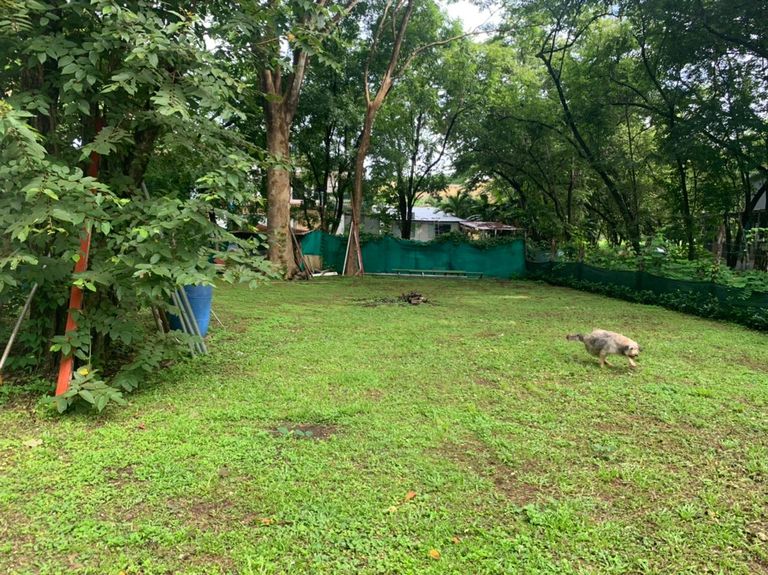 08cbce34-7a7e-4bae-9c7e-02aadfd5a344