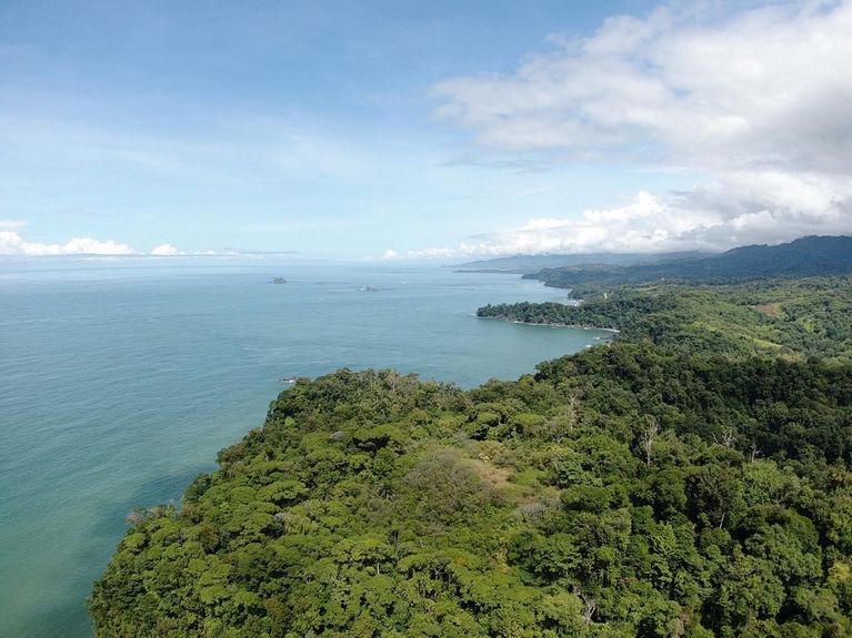 0db3ca05-a68e-4a04-9302-90769ffd292e