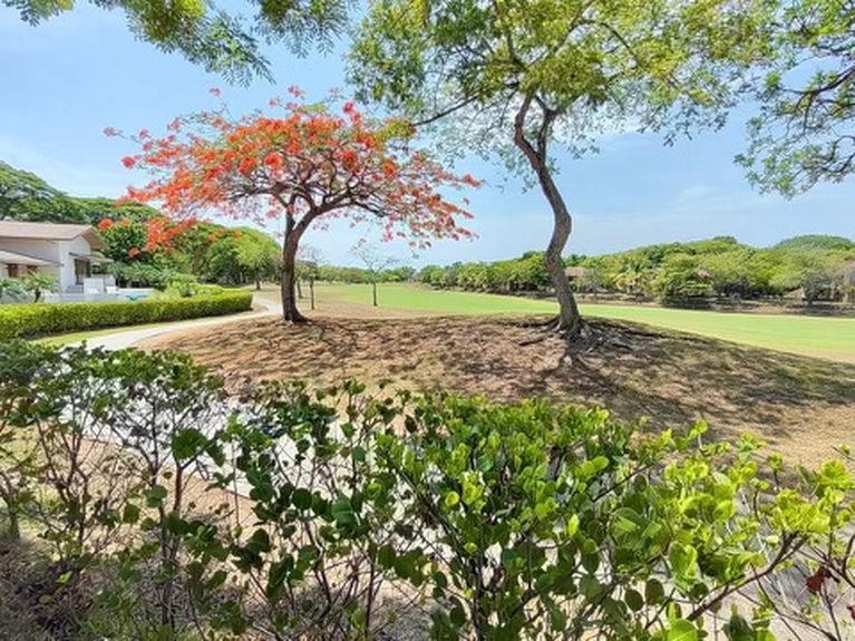 0f875cba-d581-46a4-8c33-eeb8eac721a3