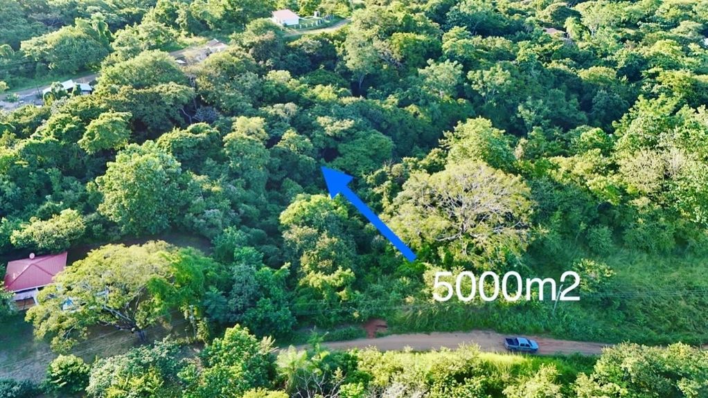 2E231AC8-B8DC-4BB5-A5BE-C77C7EE90618