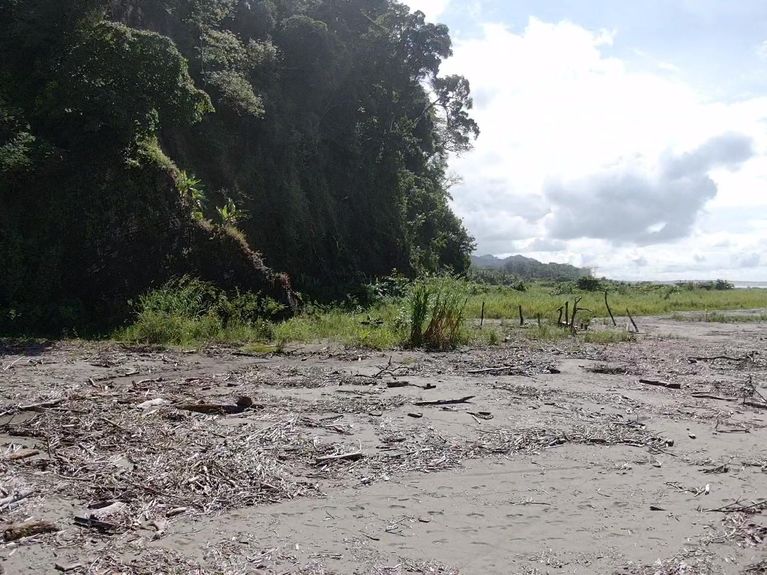 2b08fc88-a7ac-4c6f-9e35-87a67c2295cf