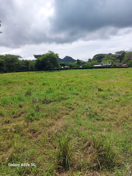 2bcbc4c9-77c9-478c-a4b9-6268610e6d45