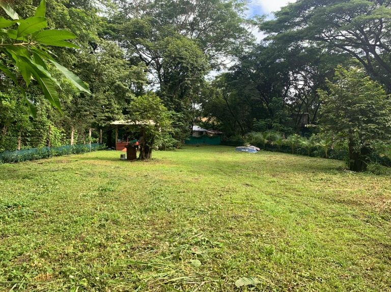 339d8ba3-8dea-400f-8e20-6e2eb9dd9bc6