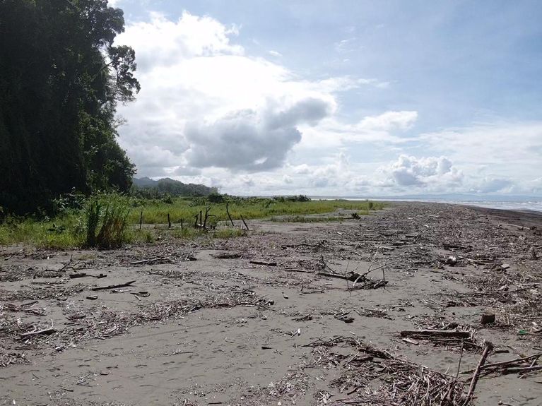 36fb8121-2fa6-4322-80ea-233b8613c0dd