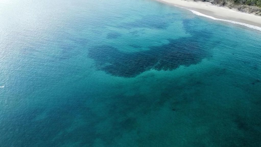 3C9EE74B-60E9-468F-98D3-7DCB8FDB19B9 2