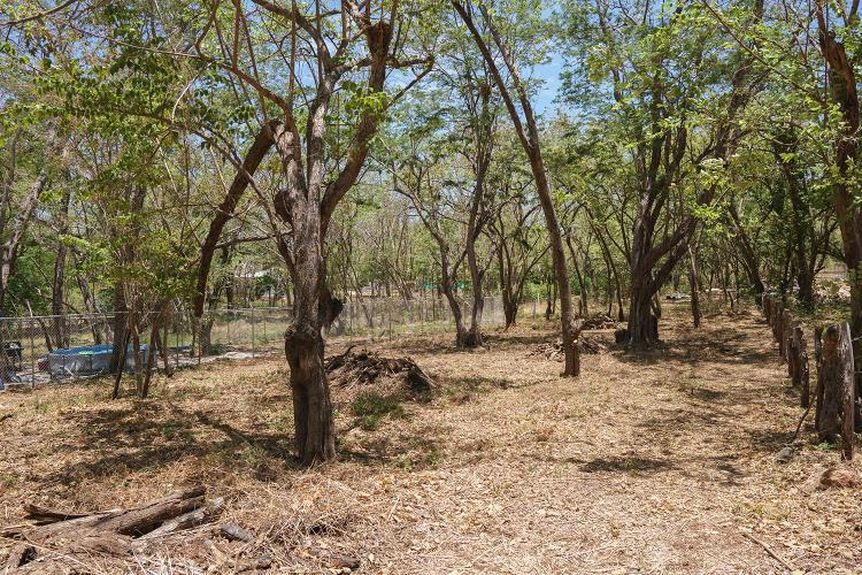 3b8603e5-0090-4ac4-996a-60acd5bb6847