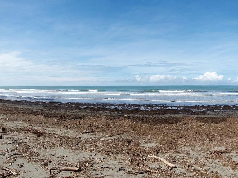 602c50a7-6c26-4937-8181-6b293d026ff9