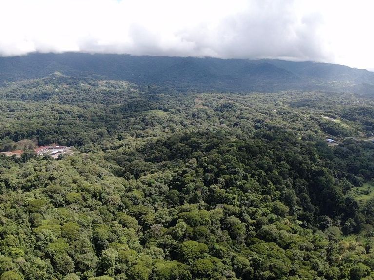 6a5eb09a-e1f5-4baf-9af8-c5b75ea33ef4