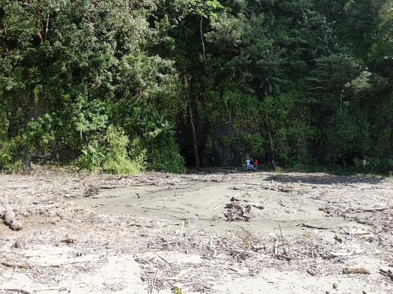 71a1d6f3-4296-4060-94b5-a76f5e814838