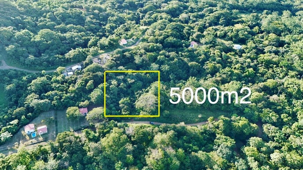 8239F2EA-A7EE-4D01-A934-F56087864443