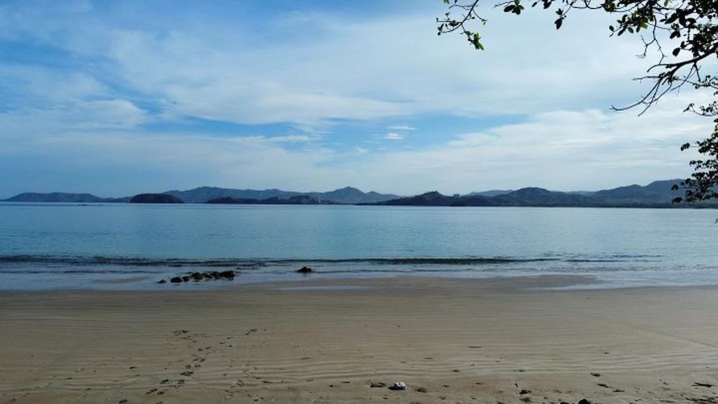 9B9AC42F-27EF-4A90-BD4D-CC13244E314D 2