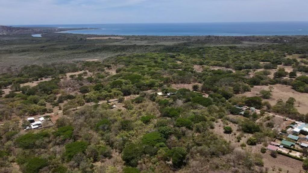 9c88f50f-06dd-4d9a-a463-e1dea8a54342