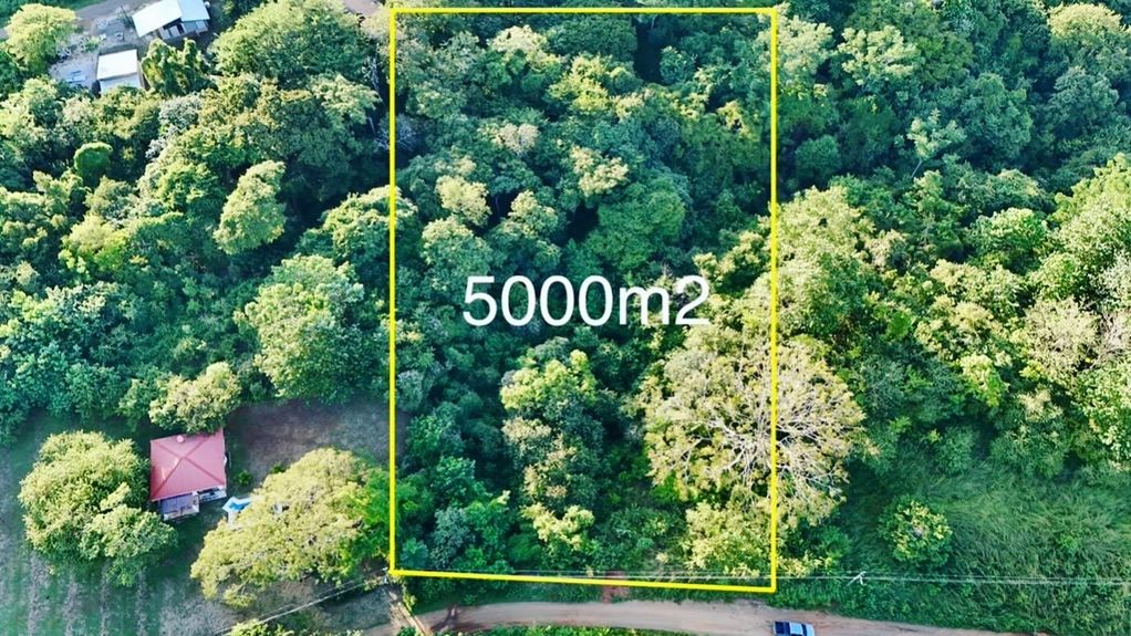 A1E0823F-BFBB-43B8-8667-9364C0380DED