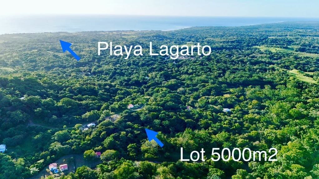 CA76705F-D15A-442E-ABFB-5923775B109E