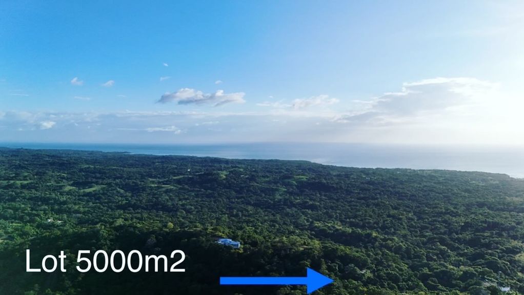 D31D47D2-73F5-4984-BDBD-AC89D1DA480B