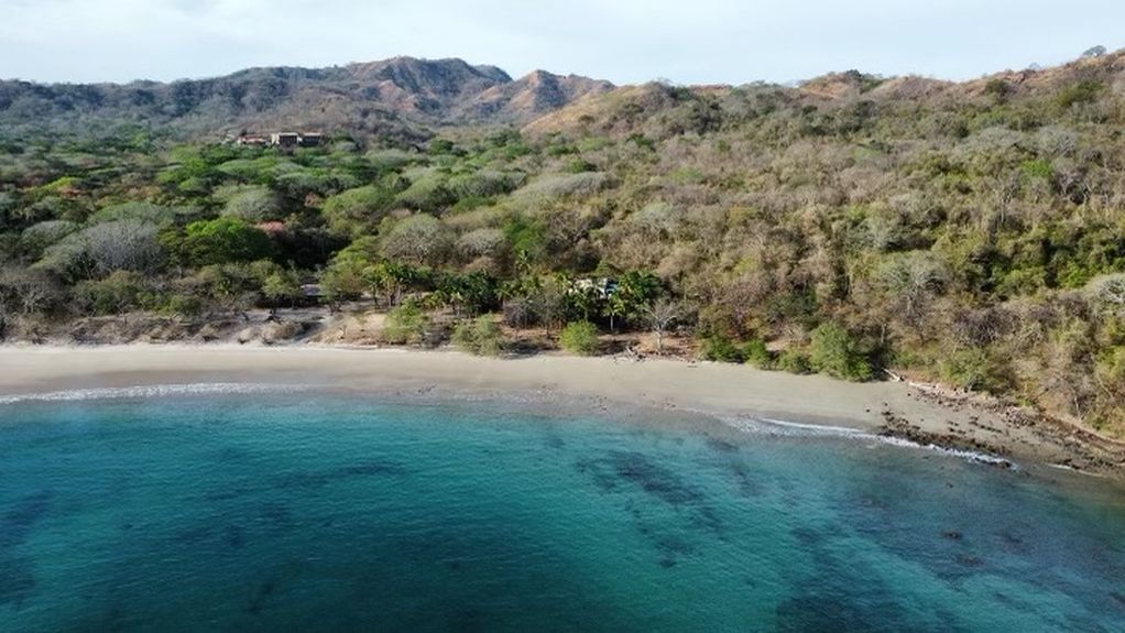 D349D4A5-6B31-467C-B884-59A9088D2C93