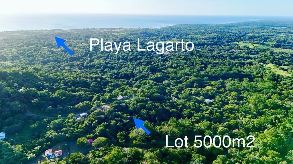 DCF306A7-0F1A-47C7-8924-5AECECA43B58