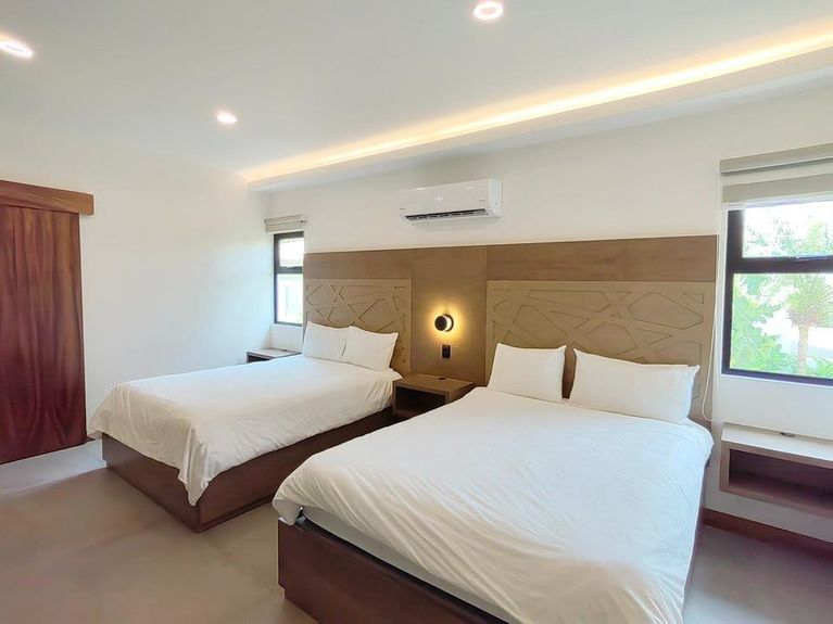 Llama Del Bosque Img 27