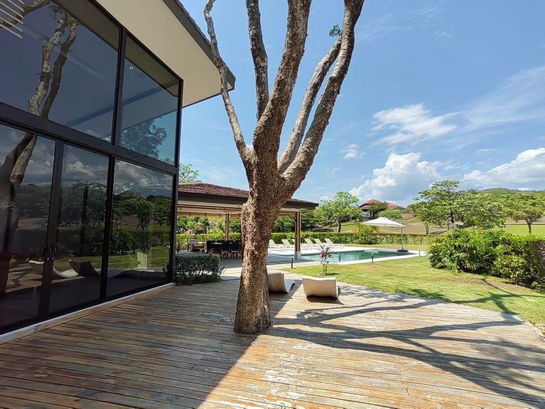 Llama Del Bosque Img 39