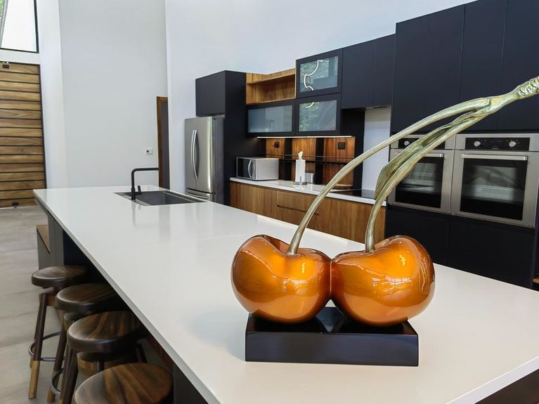 Llama Del Bosque Img 4