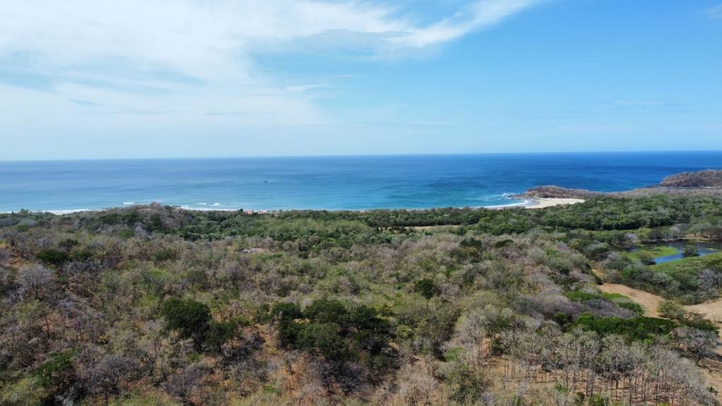 PHOTO-2023-03-07-17-33-55 7