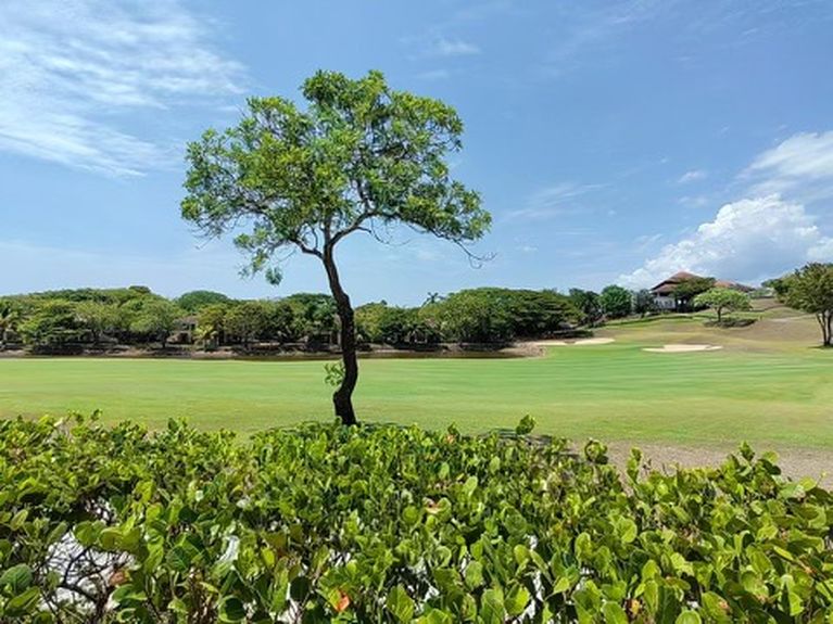 c798e8ac-9d0a-41d8-8233-c4c6a1849dbe