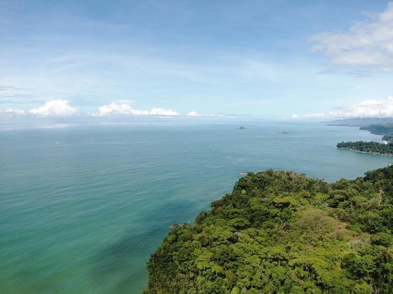 ca3c73e9-4f02-4860-9490-145d0f2df5b2