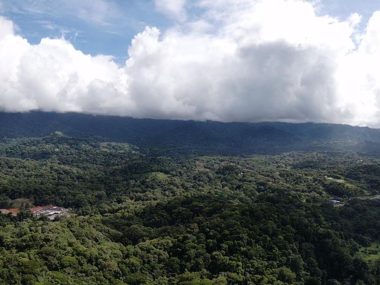 d0ef65c8-07d0-48da-9bcb-488fe6509690