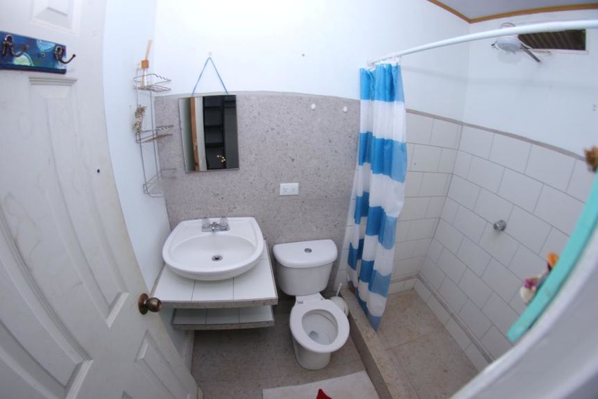 d311f06b-d5fe-4181-8cde-a3be7fd41fb6