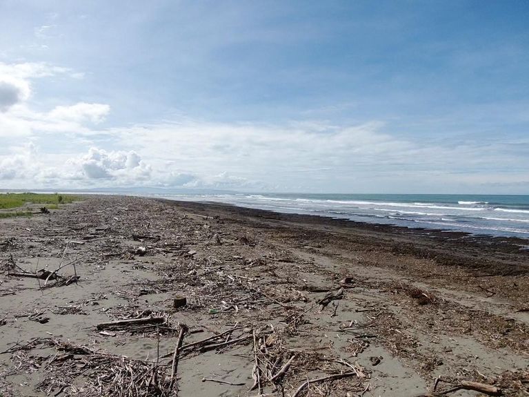 d668f1fb-0270-48de-8286-a3cd5fecc064