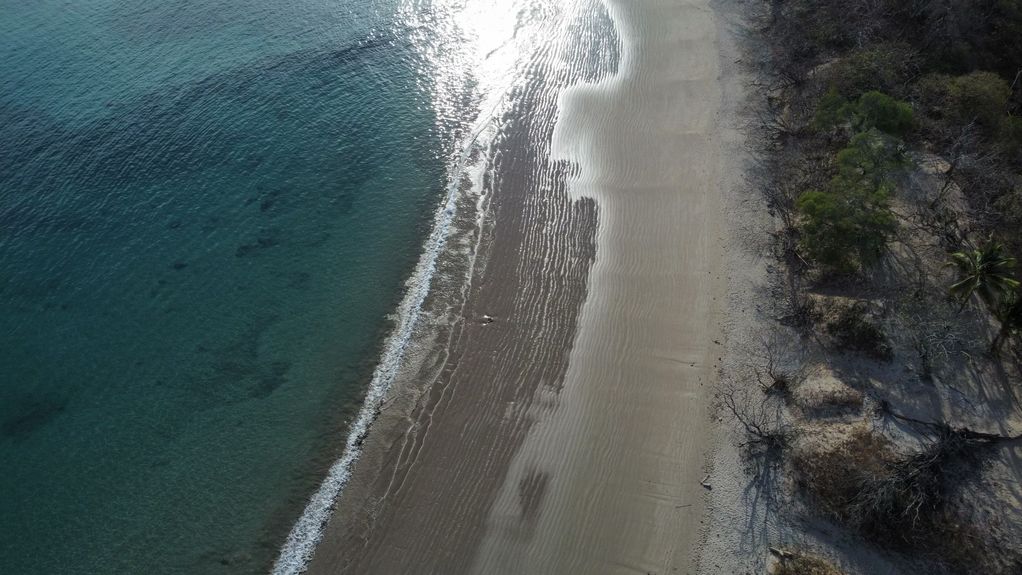 dji_fly_20230308_72658 AM_141_1678282119637_photo_optimized