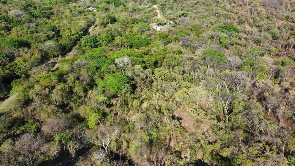 dji_fly_20230325_35524 PM_551_1679781943487_photo_optimized