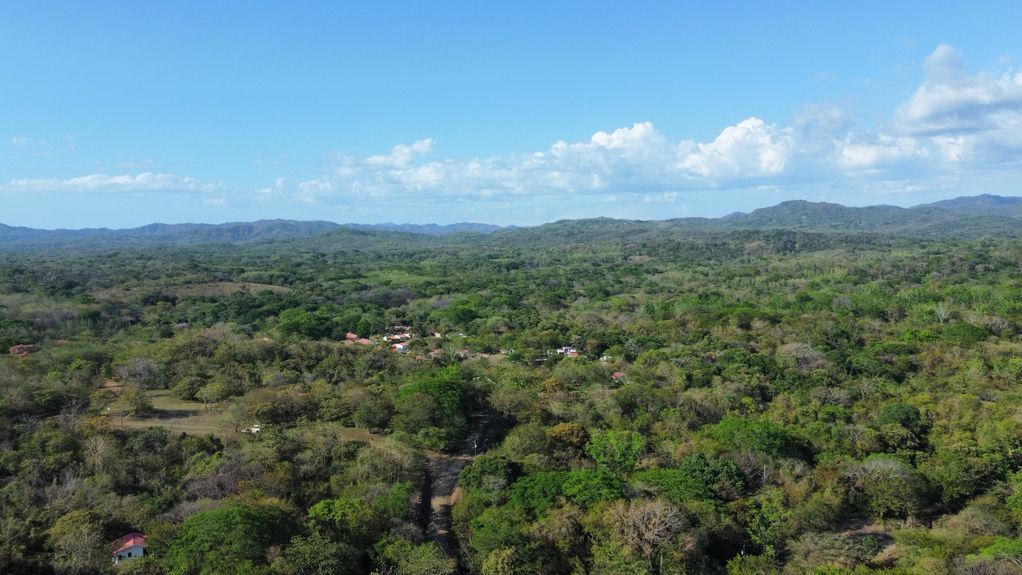 dji_fly_20230325_35616 PM_553_1679781946644_photo_optimized