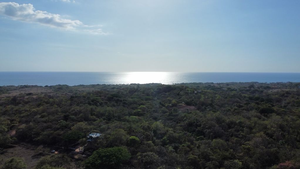 dji_fly_20230325_35632 PM_554_1679781947557_photo_optimized