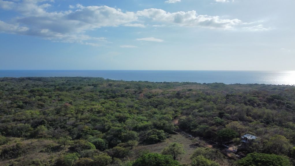 dji_fly_20230325_35636 PM_555_1679781949084_photo_optimized