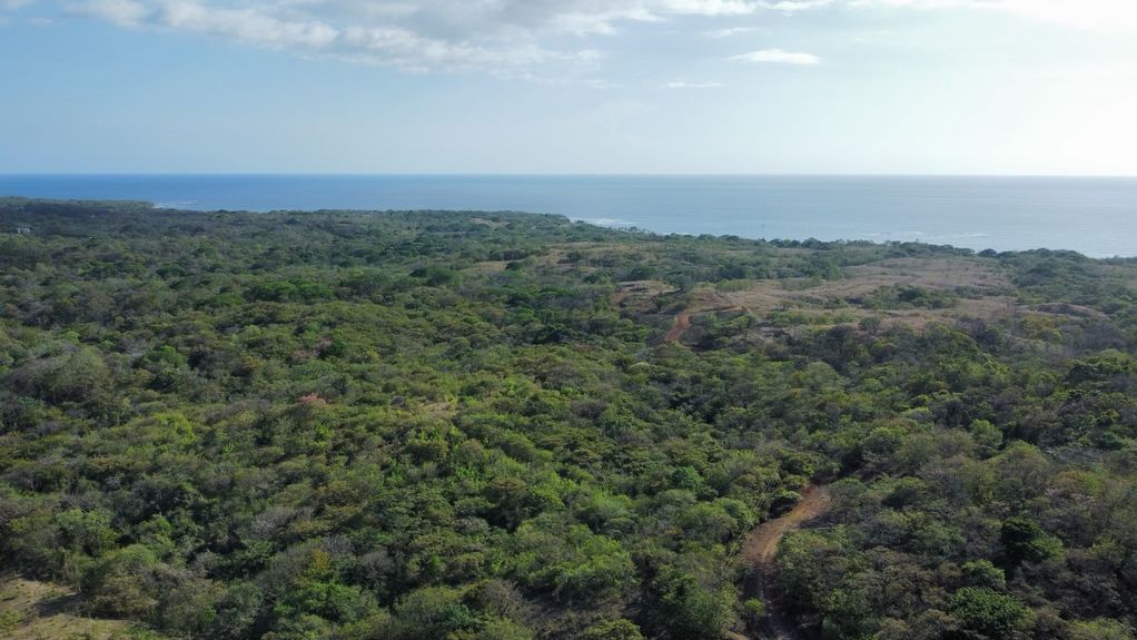 dji_fly_20230325_35810 PM_558_1679781953172_photo_optimized