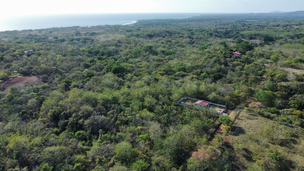 dji_fly_20230325_35854 PM_559_1679781954167_photo_optimized