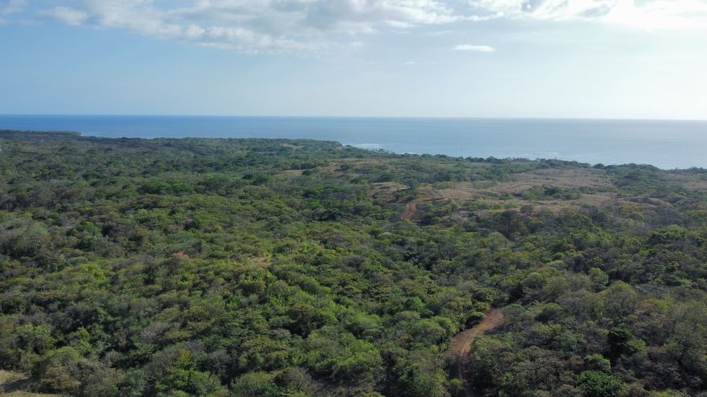 dji_fly_20230325_35902 PM_560_1679781955060_photo_optimized