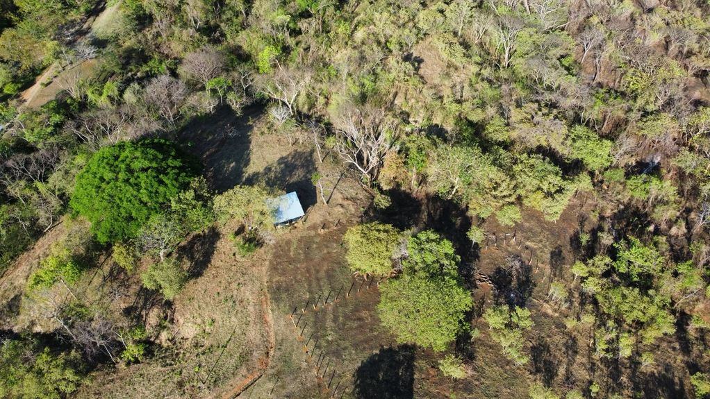 dji_fly_20230325_40010 PM_561_1679781956092_photo_optimized