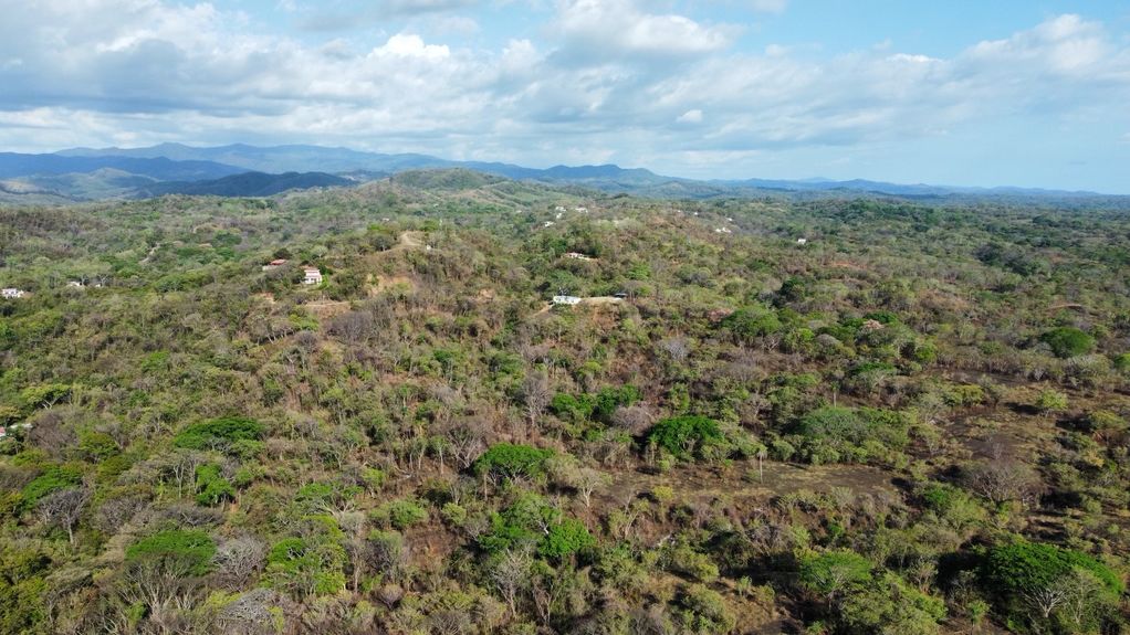 dji_fly_20230325_40024 PM_563_1679781956965_photo_optimized