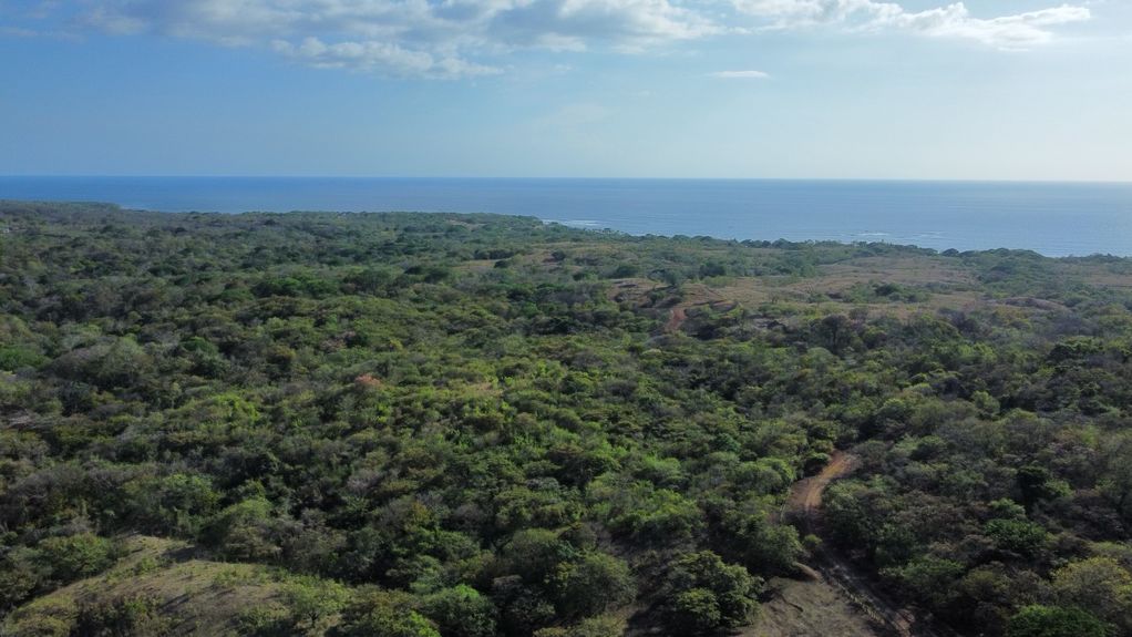 dji_fly_20230325_40038 PM_564_1679781959523_photo_optimized